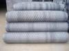 Hexagonal wire mesh