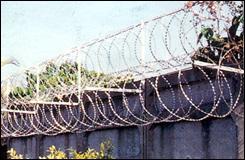 Razor Wire security Fence