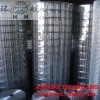 Stainless Welded wire mesh