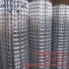Hot-dipped galvainzed welded wire mesh (factory )