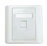 ONE PORT WALL PLATE
