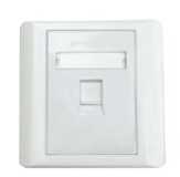 ONE PORT WALL PLATE