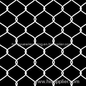 chicken coop hexagonal wire mesh