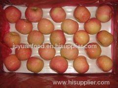 Fresh Fuji Apples