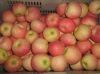 Fresh Fuji Red Apples