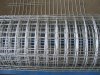 galvanized welded wire mesh (manufacturer)