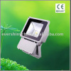 led flood light / led garden light (ES-F1-80W)