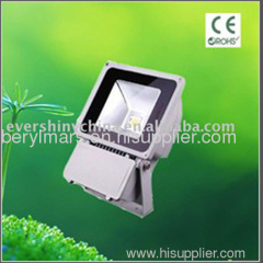 led flood light / led garden light (ES-F1-80W)