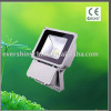 led flood light (ES-F1-100W)