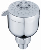 2 functions wall mounted shower head