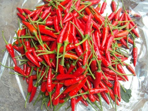 ***red chilli hot and red origin Vietnam