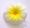 Plumeria foam flower