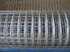 stainless steel welded wire mesh