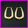 18K Vacuum Plated Earring 1210110 IPG