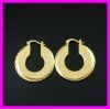 18K Vacuum Plated Earring 1210155 IPG