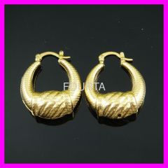 18K Vacuum Plated Earring 1210164 IPG