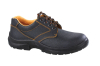 Ambrell Lining Casual Lightweight Safety Shoes