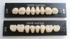 Acrylic teeth -- KAIFENG posterior