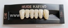 denture teeth - KAIFENG L1