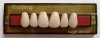 denture teeth - KAIFENG SS1