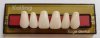 denture teeth - KAIFENG T2