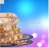 RGB led strip light/ RGB led strips/ led flexible lighting (ES-3528-1M-60RGB)