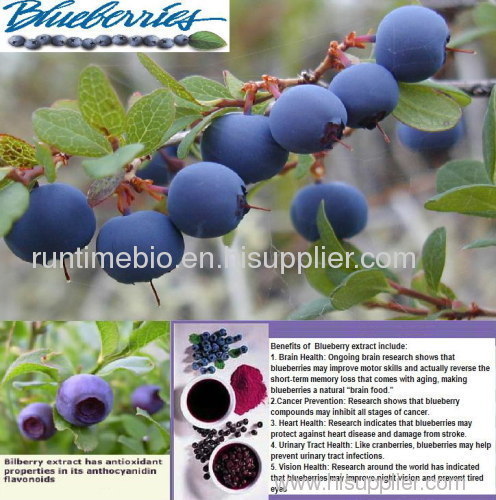 Bilberry Extract/ Bilberry P.E./ Bilberry Powder Extract