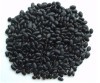 Sesamin--Black Sesame Extract