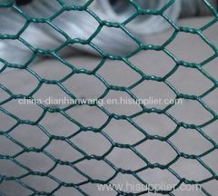 hexagonal wire mesh