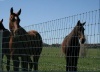 field fence