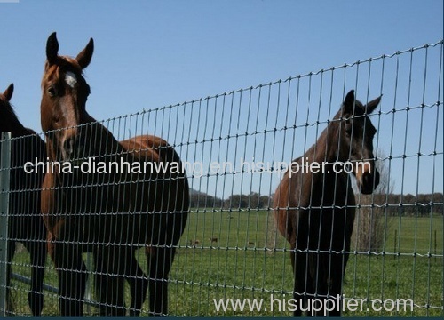 field fence