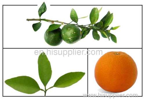 Bitter Orange P.E ./ Citrus Aurantium P.E.Synephrine