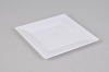 10&quot; plastic disposable square plate