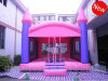 Pink Inflatable Bouncer