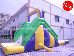 Inflatable Slide with Pool