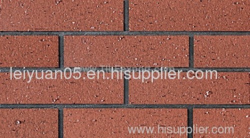 exterior wall tile in clay