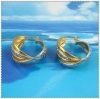 18K Vacuum Plated Earring IPG 2210014