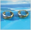 18K 2 color Vacuum Plated Earring IPG 2210045