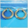 18K Vacuum Plated Earring IPG 2210048