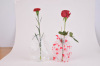 Vase, Foldable vase, Plastic disposable