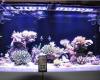 180watt LED AQUARIUM LIGHT