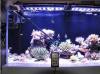 180watt LED AQUARIUM LIGHT