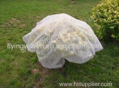 pp nonwoven plant cover