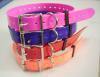 TPU dog collar