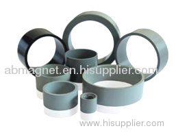 ring Bonded NdFeB Magnet