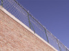 Prison fence nets