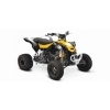 2012 Can-Am DS 450 EFI Xmx