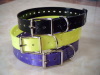 Waterproof tpu dog collar