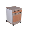 ABS Medical Cabinet