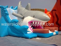 Shark large inflatable water slide